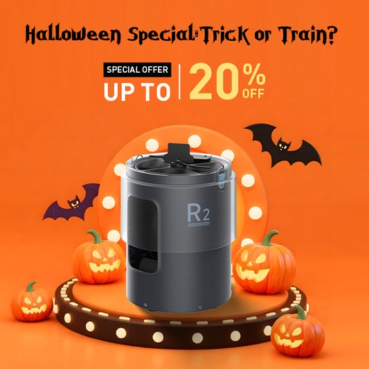 Veva R2 Tennis Ball Machine